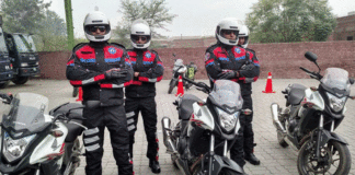 Dolphin force
