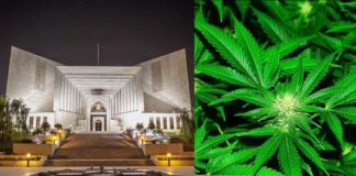 supreme court cannabis