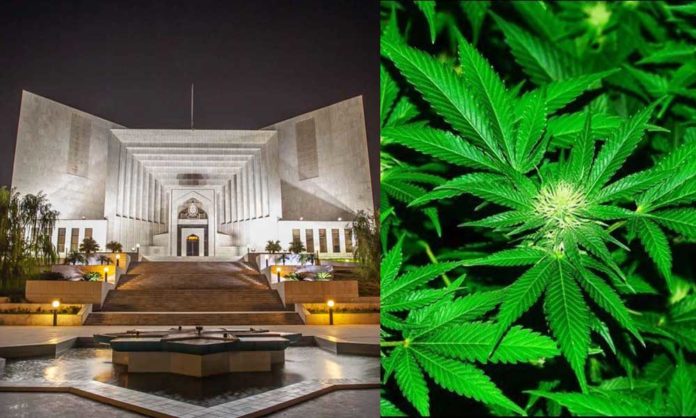 supreme court cannabis