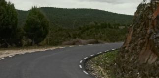 lexus without lexus ad