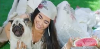 shehla chatoor ad cringe