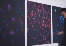 nfts cancer cells
