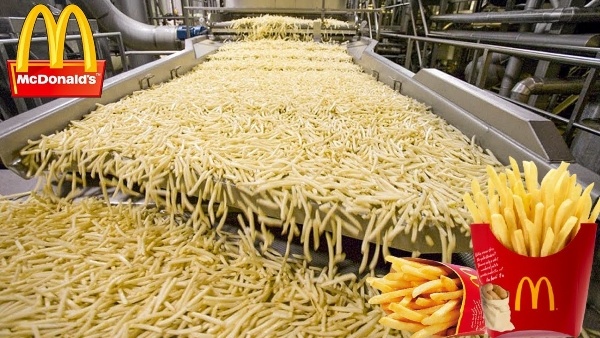 mcdonald's pakistan sacri-fries