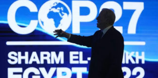 Five Key Takeaways From COP27