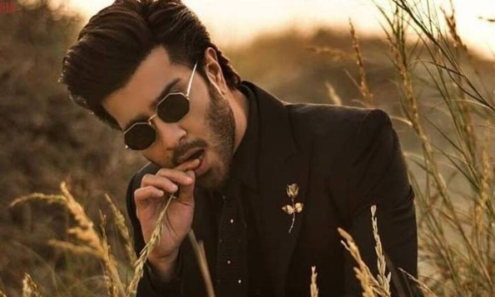 Feroze Khan Being Called A 'Hypocrite' For Celebrating New Year