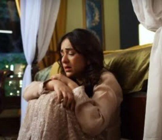 Pakistanis Are Questioning Tere Bin's Writer After Latest Episode