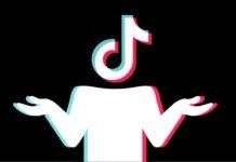 TikTok chatbot