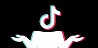 TikTok chatbot