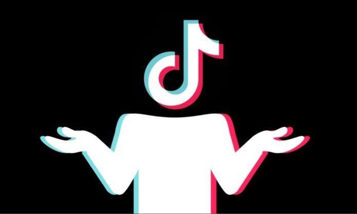 TikTok chatbot
