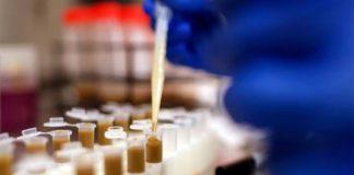 Could Swallowing Fecal Pills Improve Skin Cancer Therapy?