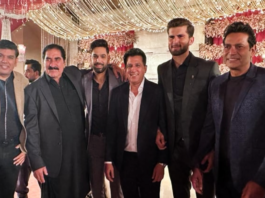shaheen shah reception