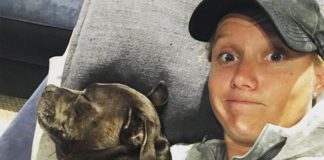 alyssa-healy-fears-for-career-after-dog-bite-incident
