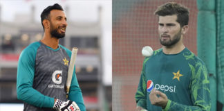 shan-masood-shaheen-afridi-appointed-new-captains-of-pakistan