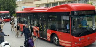 Red bus or local bus, which one to use