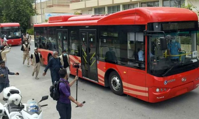 Red bus or local bus, which one to use