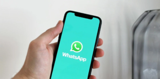 whatsapp with a new update for users