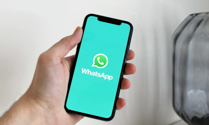 whatsapp with a new update for users