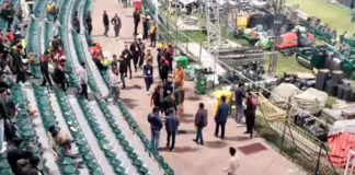 psl-9-punjab-police-ejects-fan-from-stadium