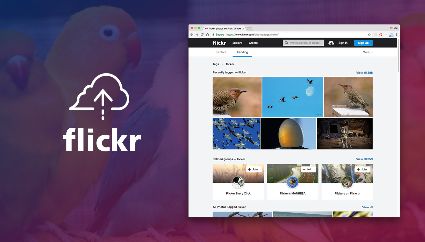 Flickr brand 