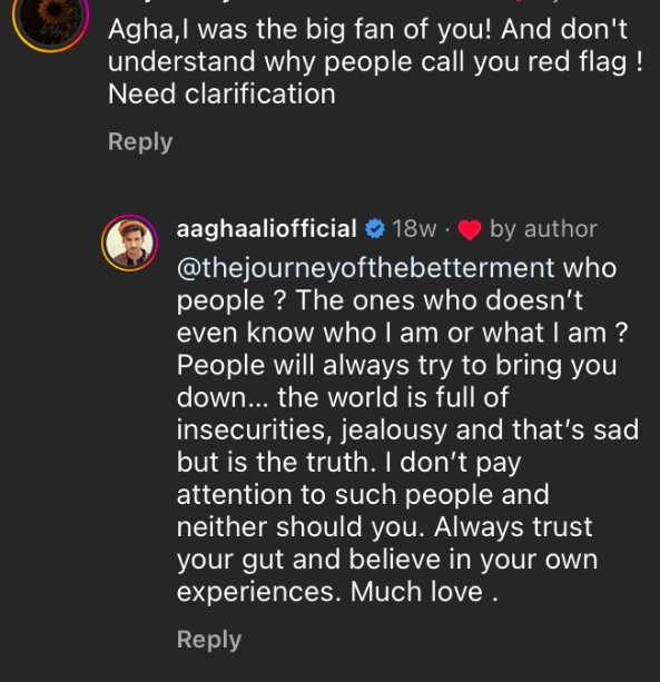 Aagha Ali comments
