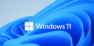 Windows 11 Official Logo