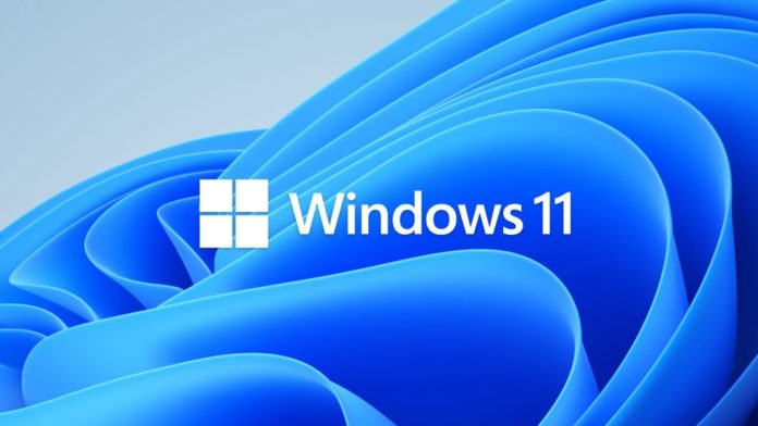 Windows 11 Official Logo