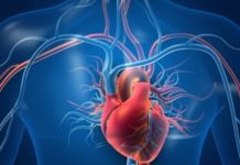 This Pakistani Family Challenges Medical Odds With 'Right-Sided' Hearts