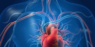 This Pakistani Family Challenges Medical Odds With 'Right-Sided' Hearts
