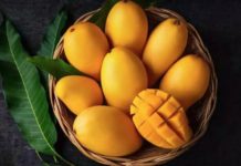 mango recipes