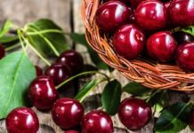 cherries