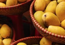 mango