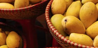mango