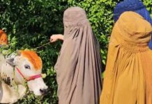 young hijabi bloggers