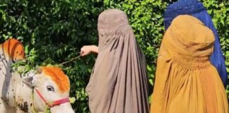 young hijabi bloggers