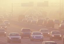 protect yourself from smog