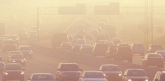 protect yourself from smog