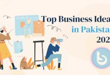 business ideas pakistan