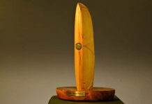 new-zealand-england-test-series-crowe-thorpe-trophy