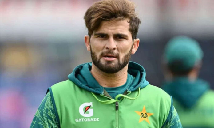 Sohail Tanvir Criticises, Shaheen Afridi Responds with a Statement Spell