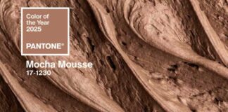 Pantone Mocha Mousse: All the Ways you can Apply It
