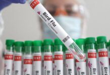 California Declares state of emergency over outbreak of Bird Flu