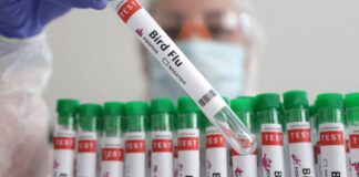 California Declares state of emergency over outbreak of Bird Flu