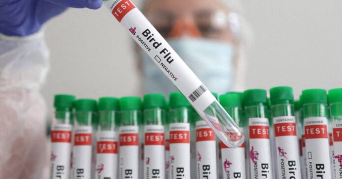 California Declares state of emergency over outbreak of Bird Flu