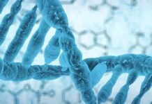 Genetic Screening Required for UAE Citizens to Marry