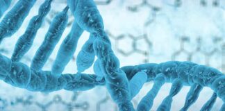 Genetic Screening Required for UAE Citizens to Marry