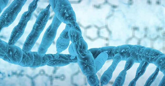Genetic Screening Required for UAE Citizens to Marry
