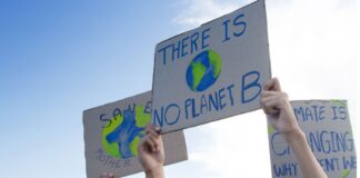 Is it Too Late to Reverse Global Warming?