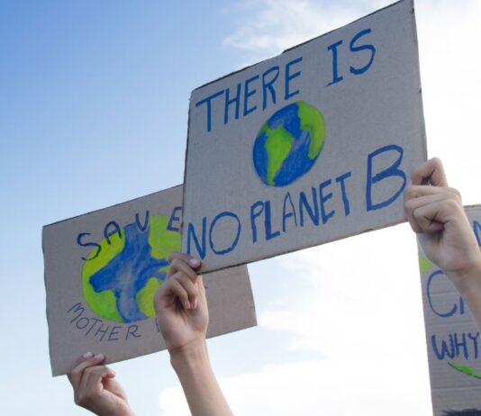 Is it Too Late to Reverse Global Warming?