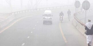 Motorways Closed in Punjab Due to Dense Fog
