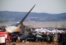 How 2 Crew Members in Deadly South Korea Plane Crash Survived